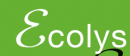CSWEditable
